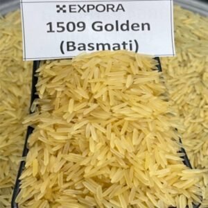 1509 Golden Sella Basmati